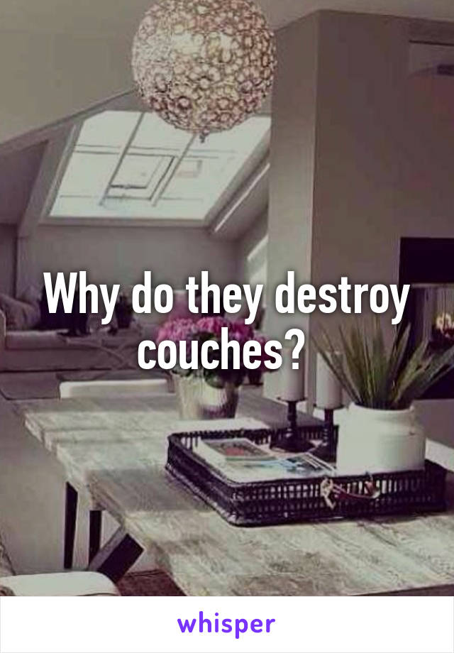 Why do they destroy couches? 