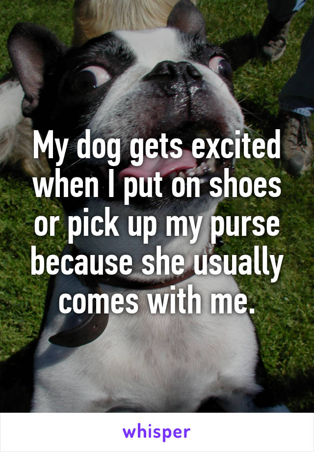 My dog gets excited when I put on shoes or pick up my purse because she usually comes with me.
