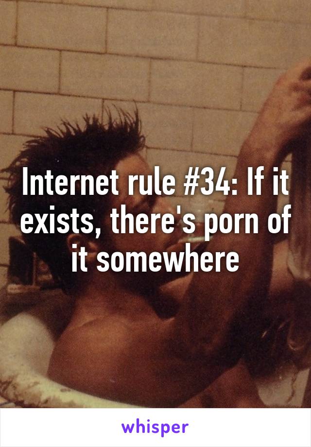 Internet rule #34: If it exists, there's porn of it somewhere.