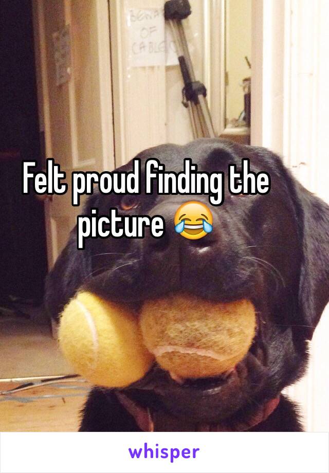 Felt proud finding the picture 😂