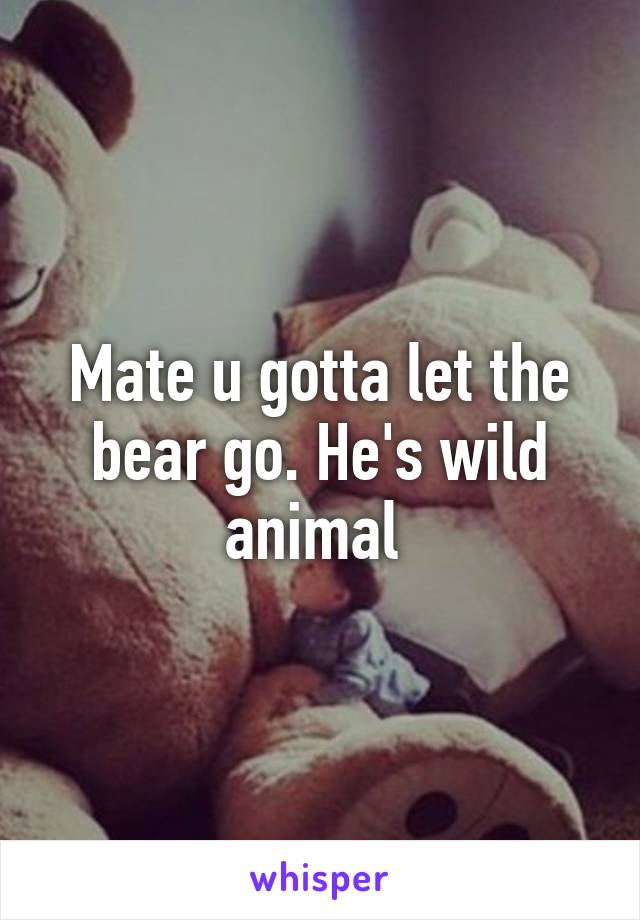 Mate u gotta let the bear go. He's wild animal 