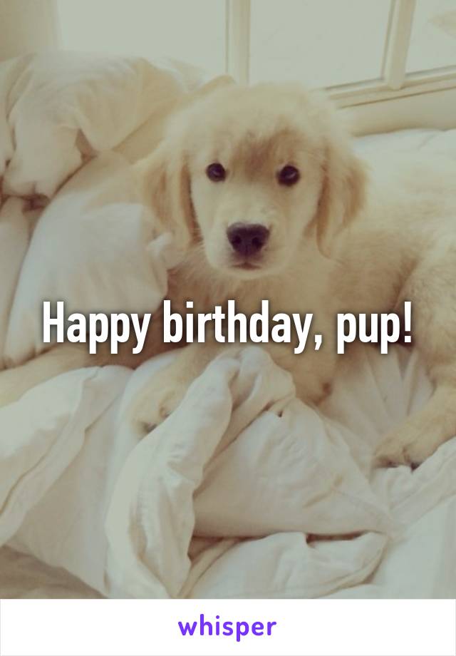 Happy birthday, pup!