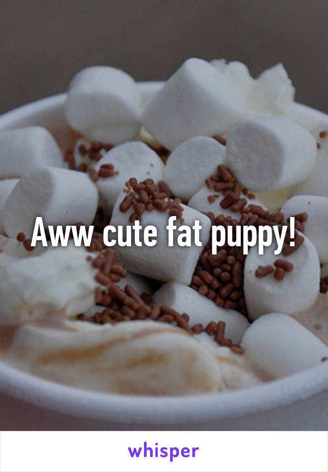 Aww cute fat puppy!