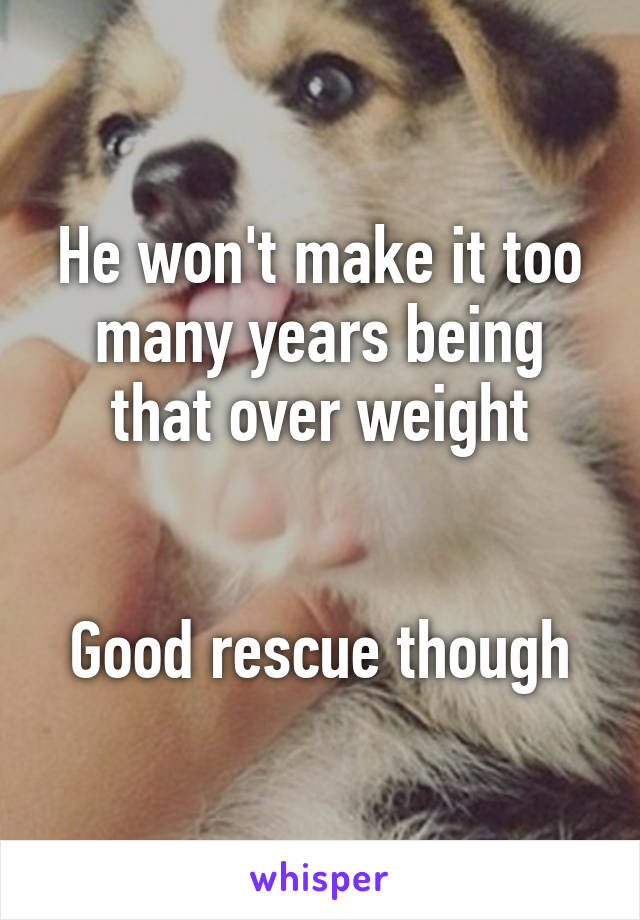 He won't make it too many years being that over weight


Good rescue though