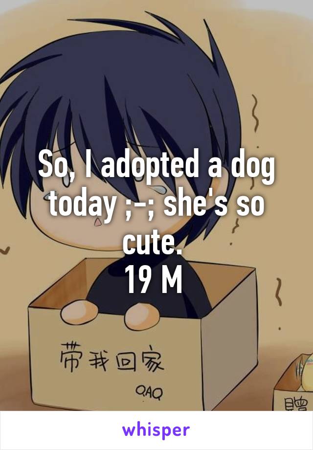 So, I adopted a dog today ;-; she's so cute. 
19 M 