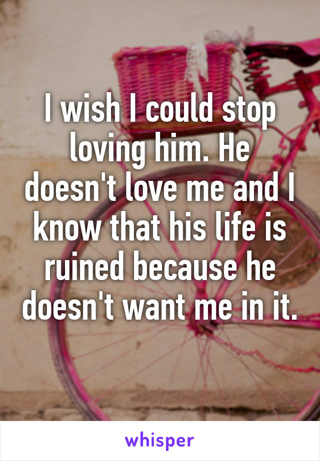 I wish I could stop loving him. He doesn't love me and I know that his life is ruined because he doesn't want me in it. 