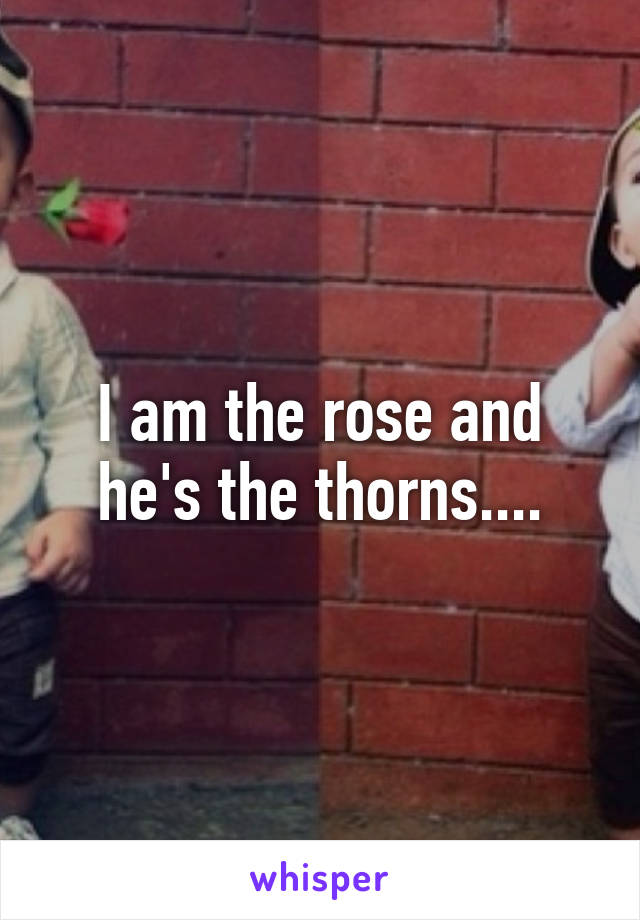 I am the rose and he's the thorns....