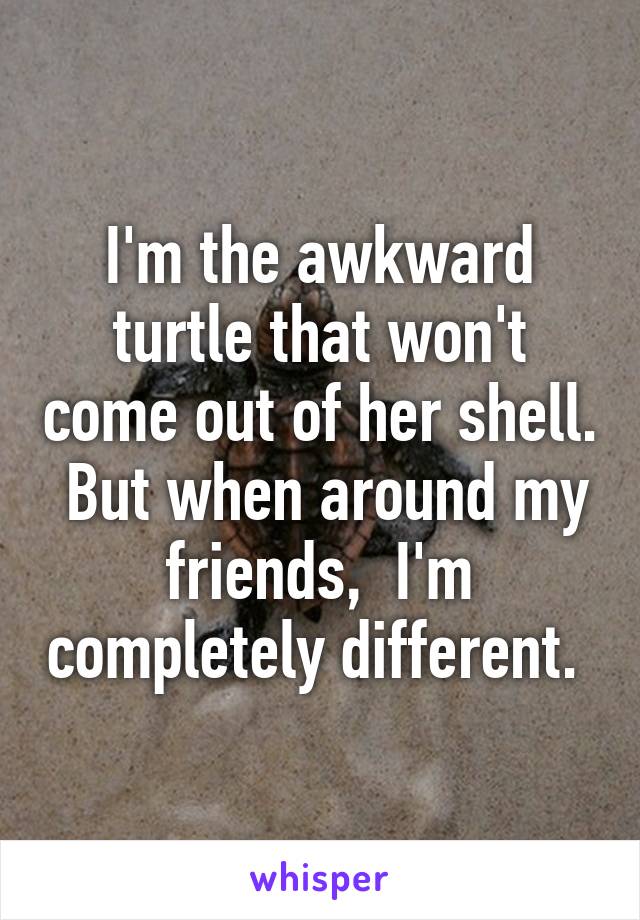 I'm the awkward turtle that won't come out of her shell.  But when around my friends,  I'm completely different. 