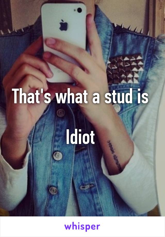 That's what a stud is 

Idiot 