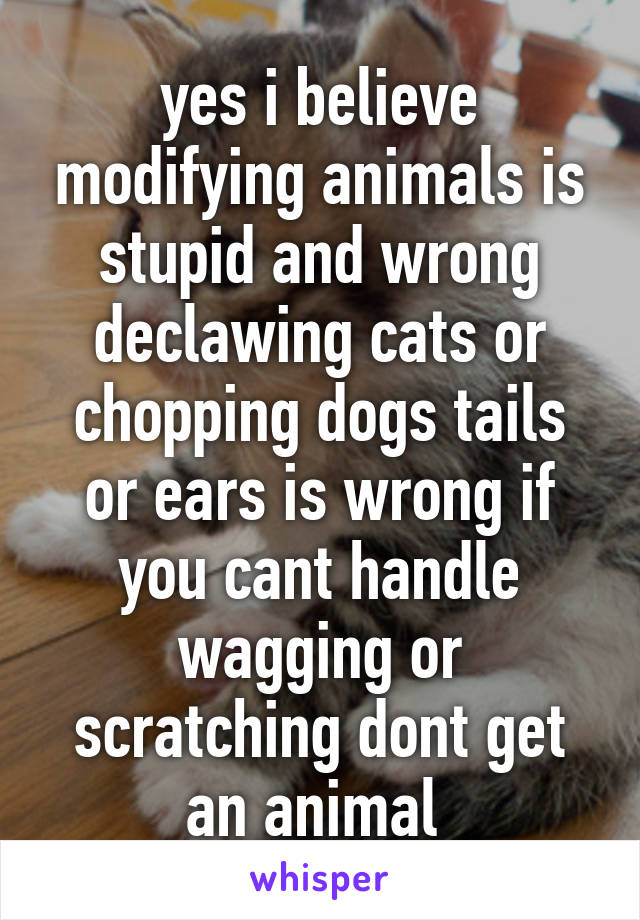 yes i believe modifying animals is stupid and wrong declawing cats or chopping dogs tails or ears is wrong if you cant handle wagging or scratching dont get an animal 