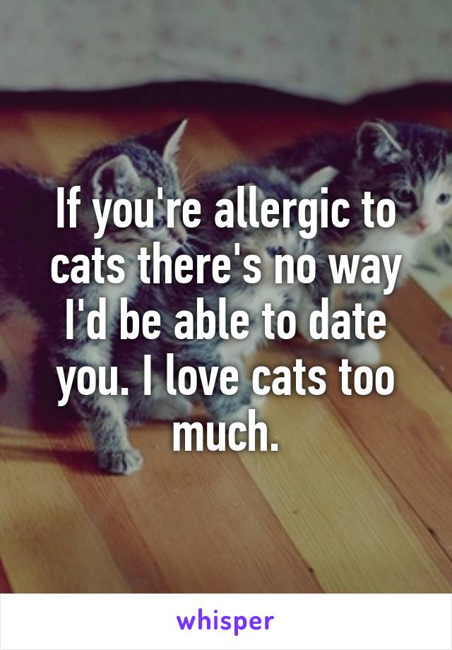 If you're allergic to cats there's no way I'd be able to date you. I love cats too much.