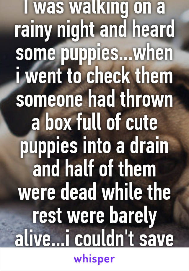 I was walking on a rainy night and heard some puppies...when i went to check them someone had thrown a box full of cute puppies into a drain and half of them were dead while the rest were barely alive...i couldn't save them...