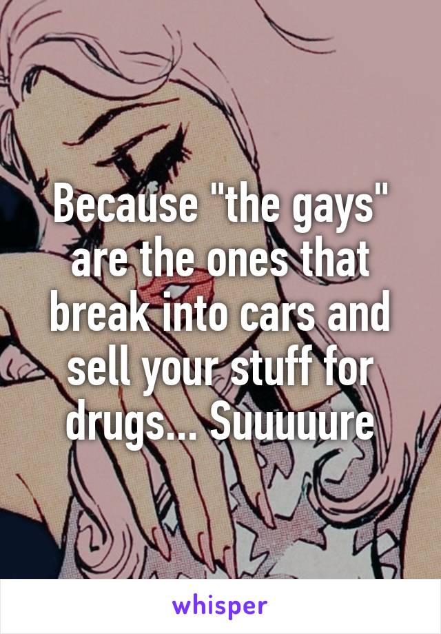 Because "the gays" are the ones that break into cars and sell your stuff for drugs... Suuuuure