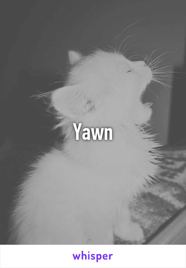 Yawn