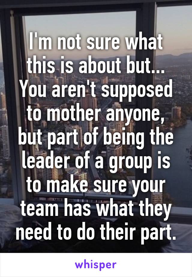 I'm not sure what this is about but...
You aren't supposed to mother anyone, but part of being the leader of a group is to make sure your team has what they need to do their part.