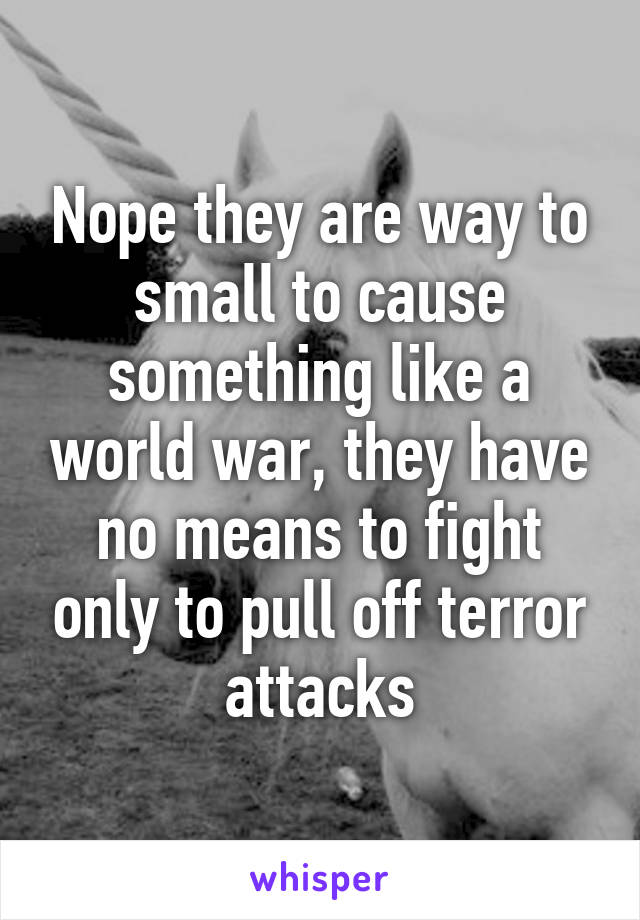 Nope they are way to small to cause something like a world war, they have no means to fight only to pull off terror attacks