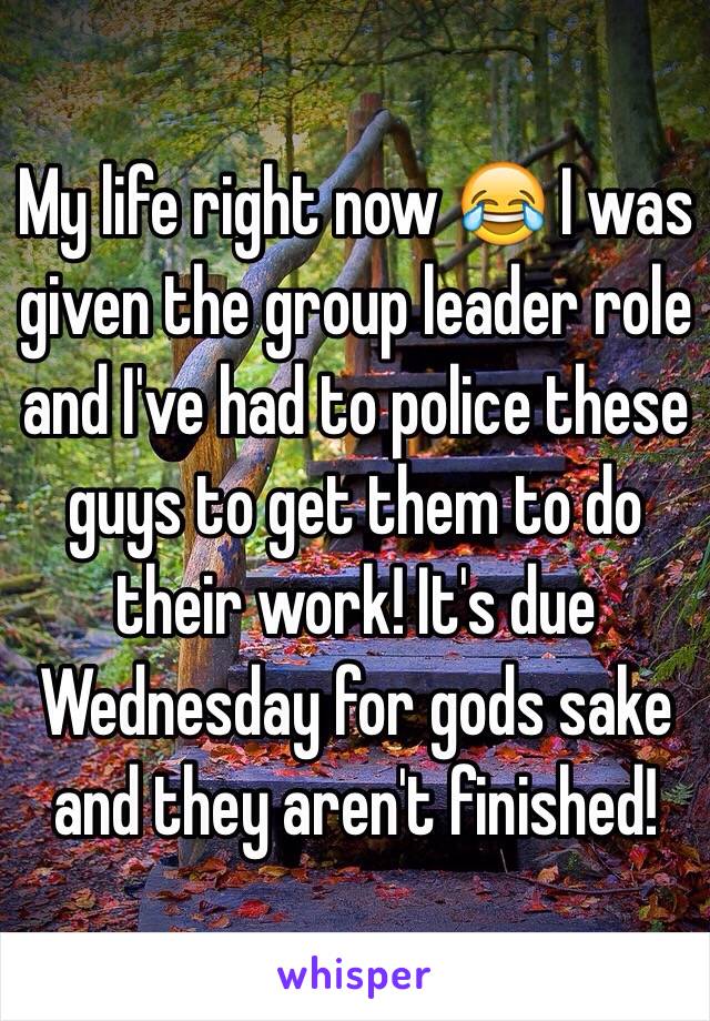 My life right now 😂 I was given the group leader role and I've had to police these guys to get them to do their work! It's due Wednesday for gods sake and they aren't finished!