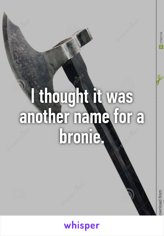 I thought it was another name for a bronie.