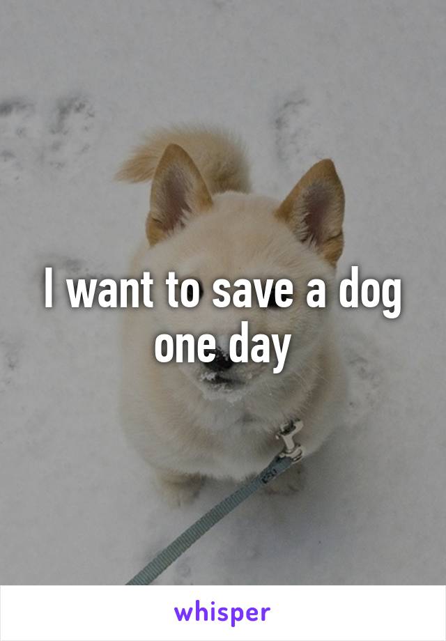 I want to save a dog one day