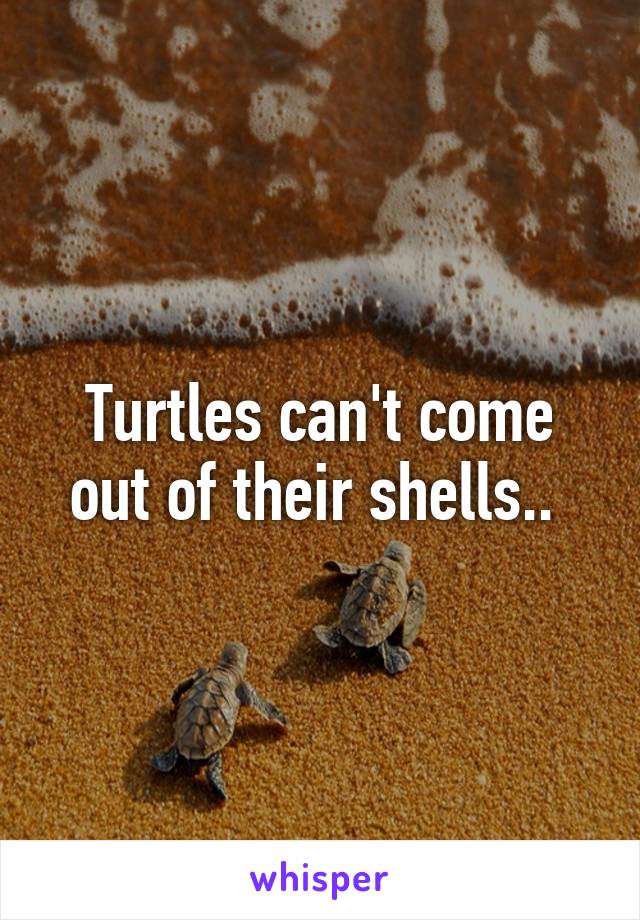 Turtles can't come out of their shells.. 