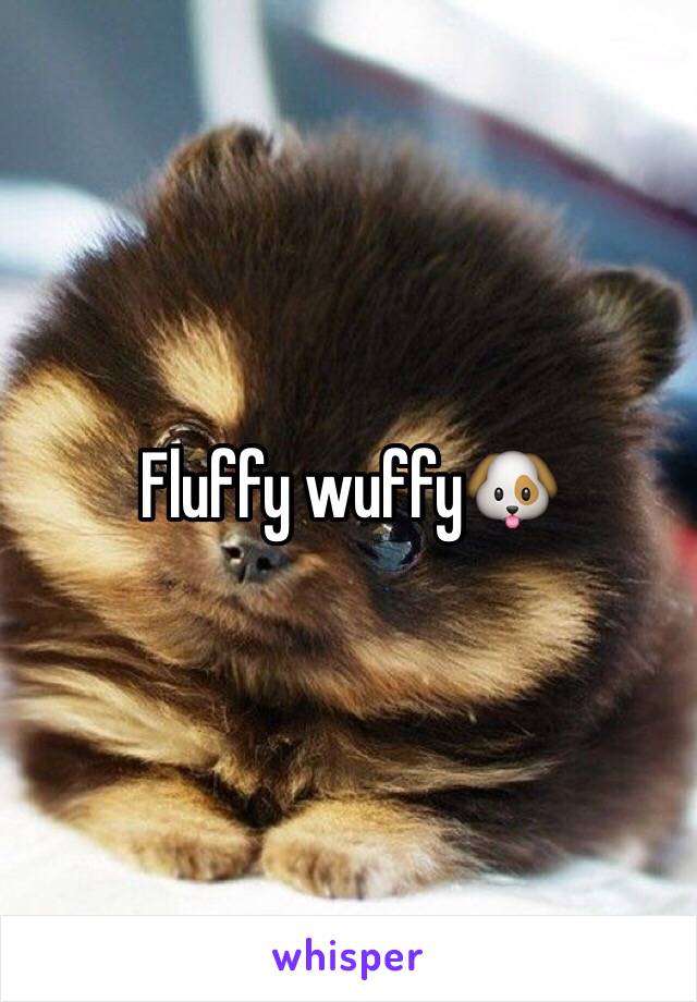 Fluffy wuffy🐶