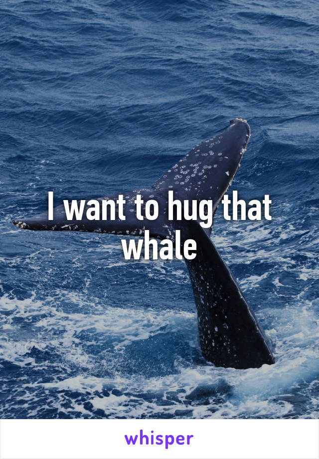 I want to hug that whale