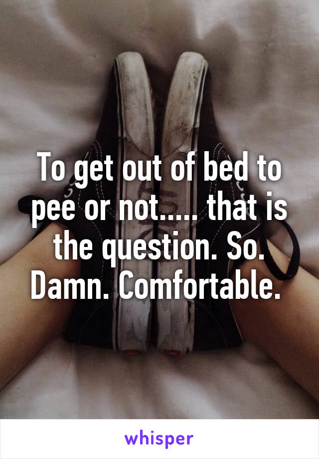 To get out of bed to pee or not..... that is the question. So. Damn. Comfortable. 