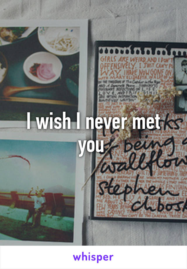 I wish I never met you 