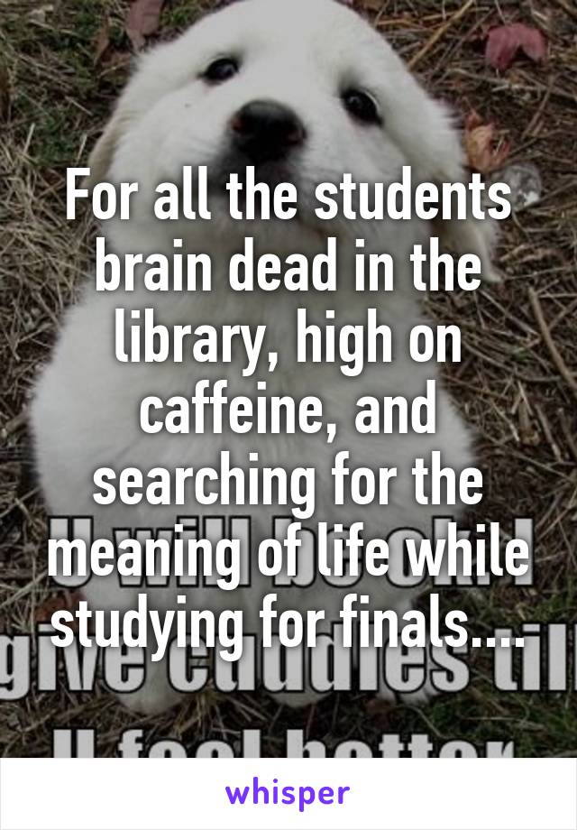 For all the students brain dead in the library, high on caffeine, and searching for the meaning of life while studying for finals....