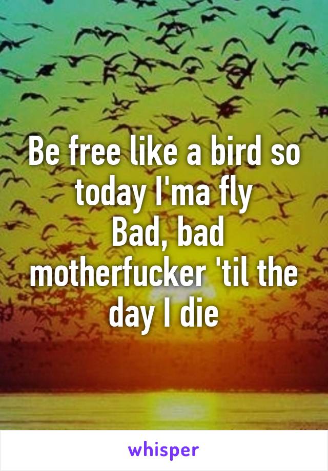Be free like a bird so today I'ma fly
 Bad, bad motherfucker 'til the day I die