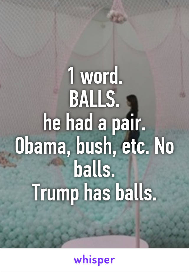 1 word.
BALLS.
he had a pair. Obama, bush, etc. No balls.
Trump has balls.