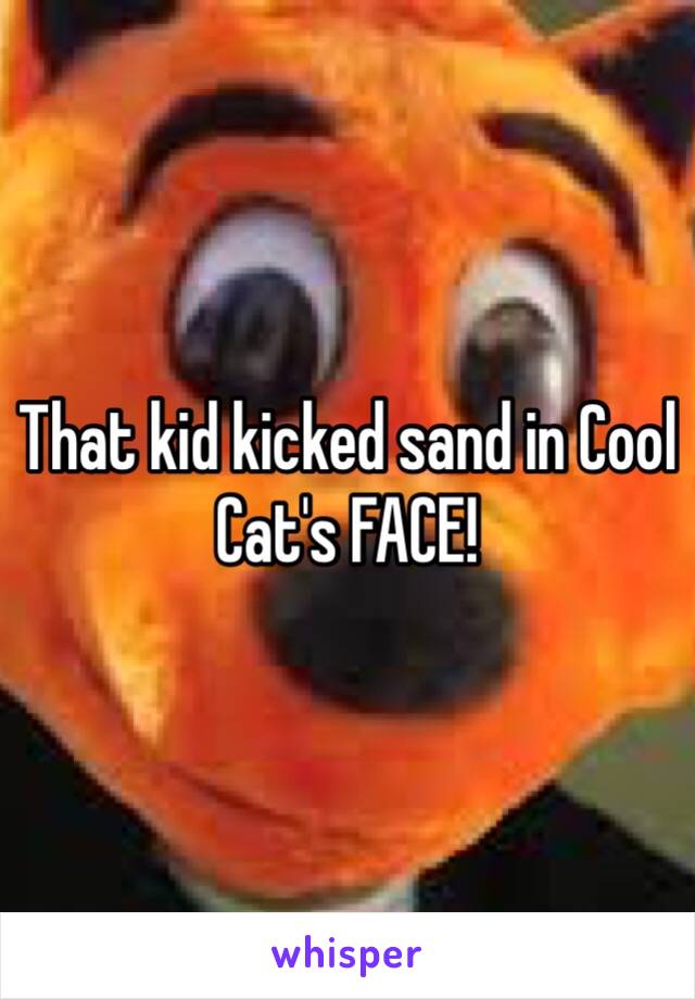 That kid kicked sand in Cool Cat's FACE!