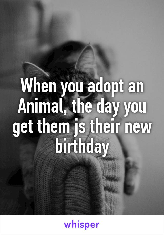 When you adopt an Animal, the day you get them js their new birthday