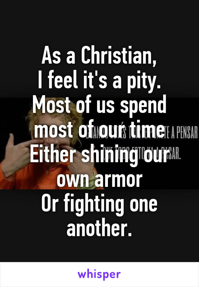 As a Christian,
I feel it's a pity.
Most of us spend
most of our time
Either shining our own armor
Or fighting one another.