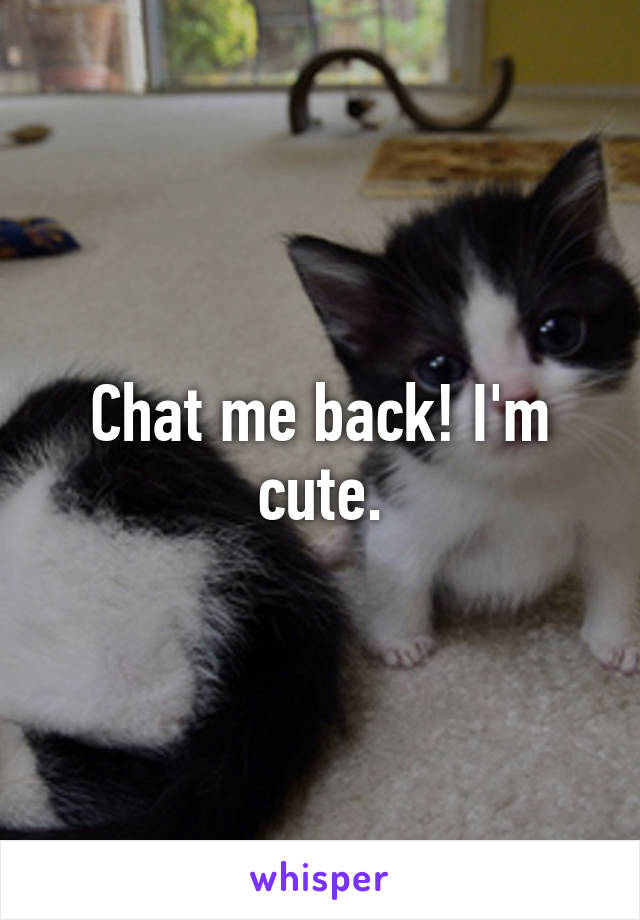 Chat me back! I'm cute.