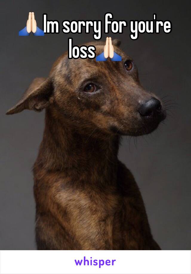 🙏🏻Im sorry for you're loss🙏🏻