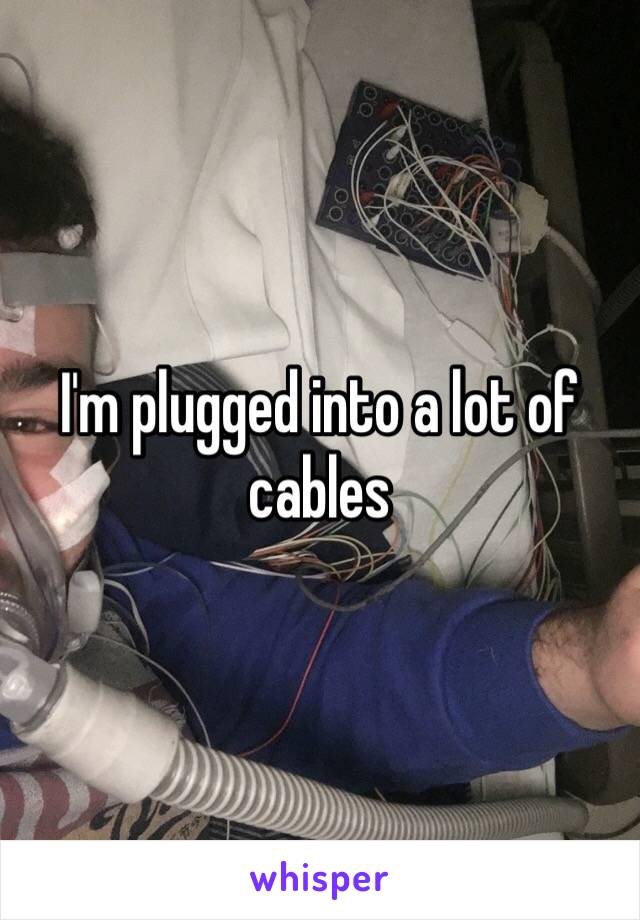 I'm plugged into a lot of cables