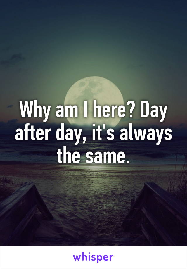 Why am I here? Day after day, it's always the same.