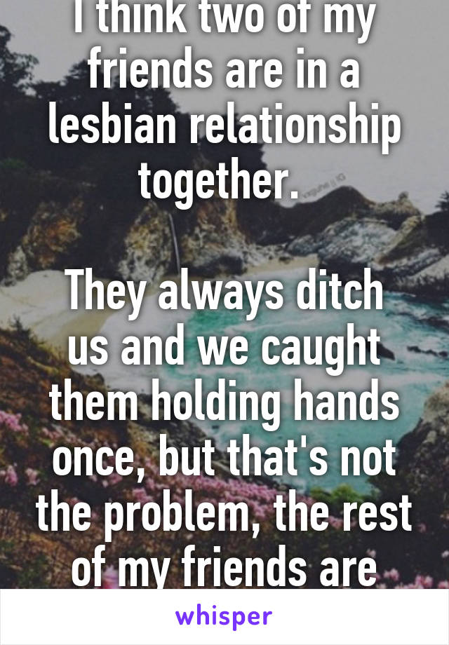 I think two of my friends are in a lesbian relationship together. 

They always ditch us and we caught them holding hands once, but that's not the problem, the rest of my friends are judging them.
