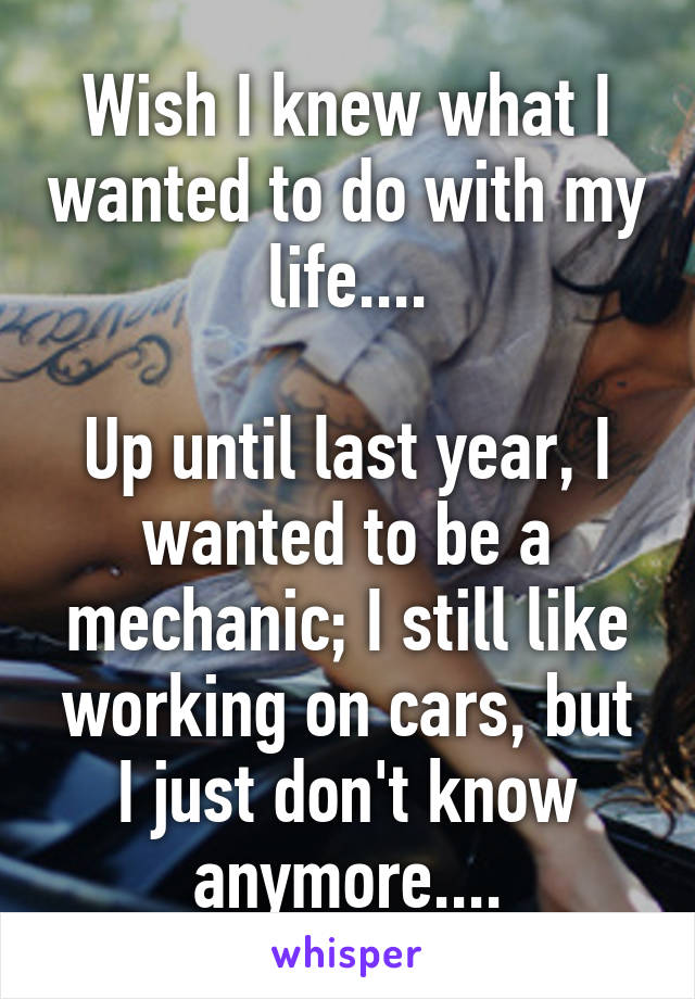 Wish I knew what I wanted to do with my life....

Up until last year, I wanted to be a mechanic; I still like working on cars, but I just don't know anymore....