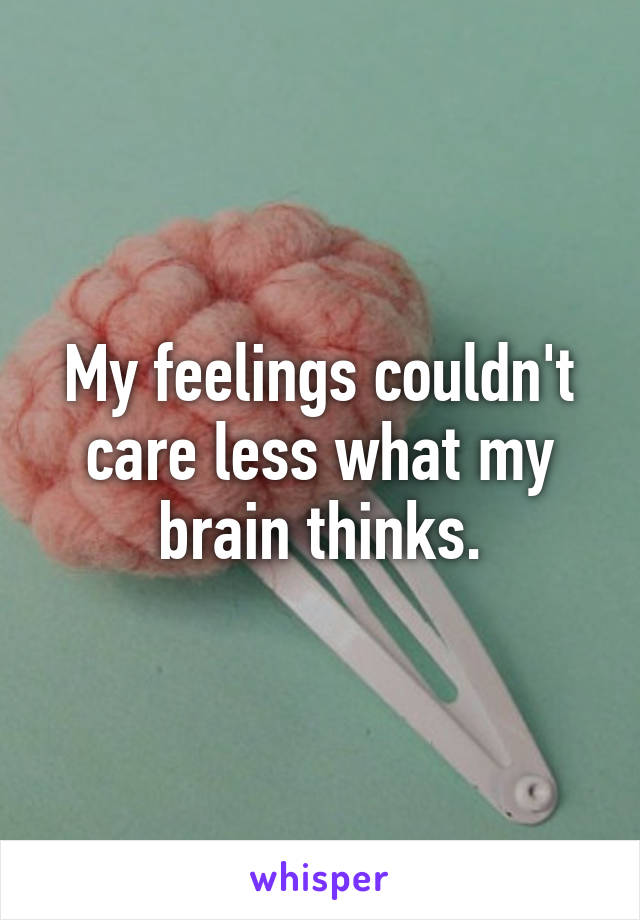 My feelings couldn't care less what my brain thinks.