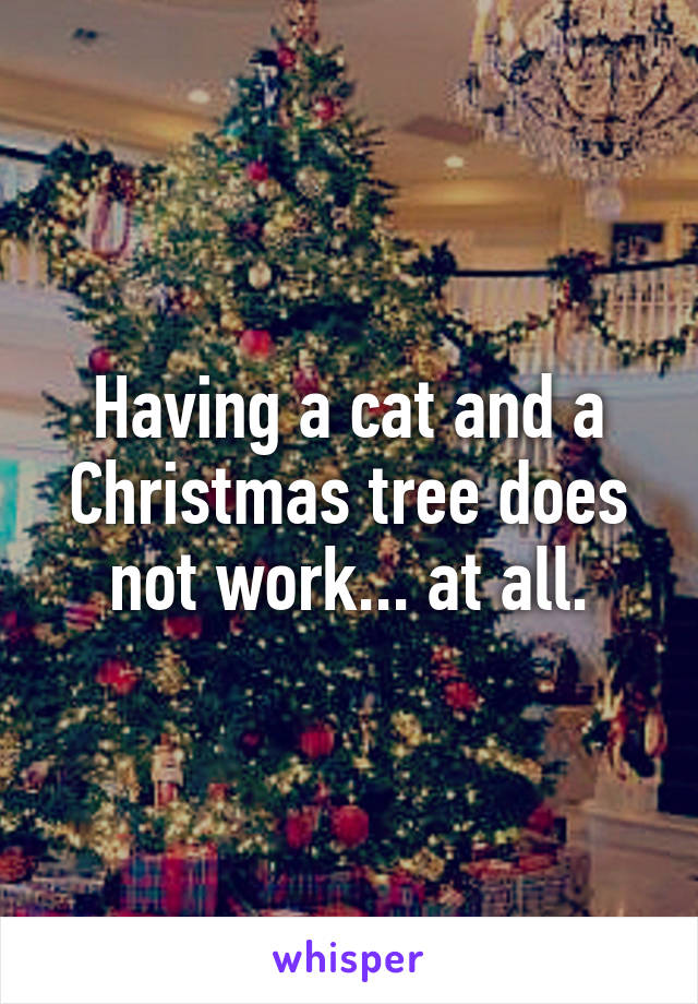 Having a cat and a Christmas tree does not work... at all.