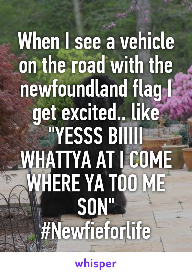 When I see a vehicle on the road with the newfoundland flag I get excited.. like "YESSS BIIIII WHATTYA AT I COME WHERE YA TOO ME SON"
#Newfieforlife
