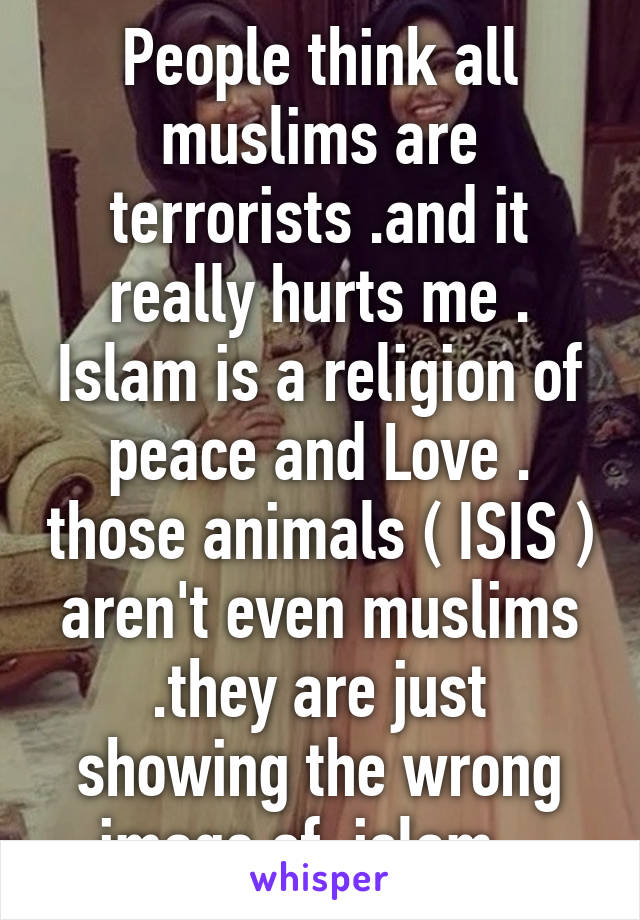 People think all muslims are terrorists .and it really hurts me .
Islam is a religion of peace and Love . those animals ( ISIS ) aren't even muslims .they are just showing the wrong image of  islam ..