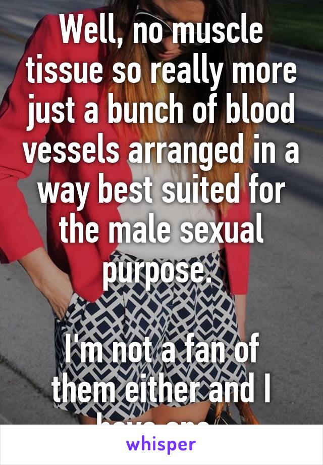 Well, no muscle tissue so really more just a bunch of blood vessels arranged in a way best suited for the male sexual purpose. 

I'm not a fan of them either and I have one. 