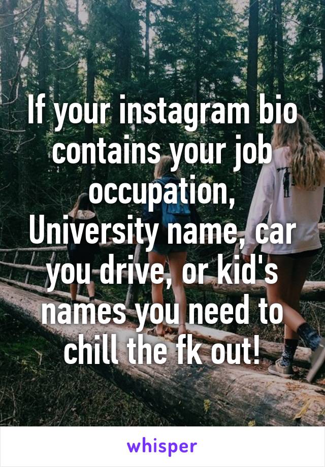 If your instagram bio contains your job occupation, University name, car you drive, or kid's names you need to chill the fk out!