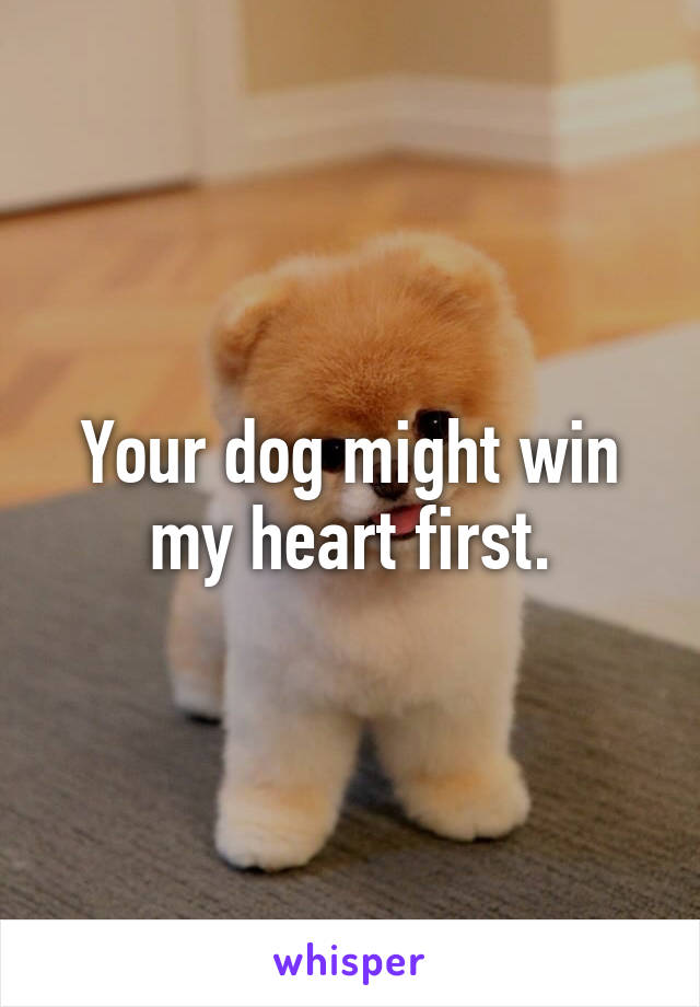 Your dog might win my heart first.