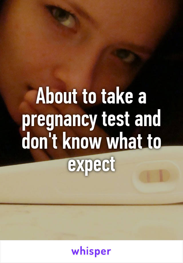About to take a pregnancy test and don't know what to expect
