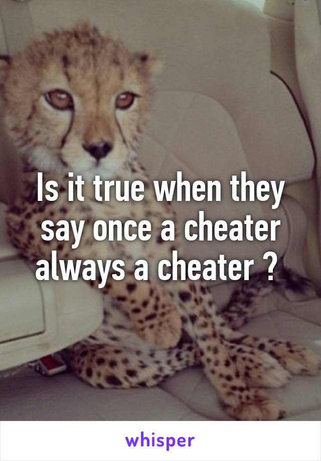 Is it true when they say once a cheater always a cheater ? 