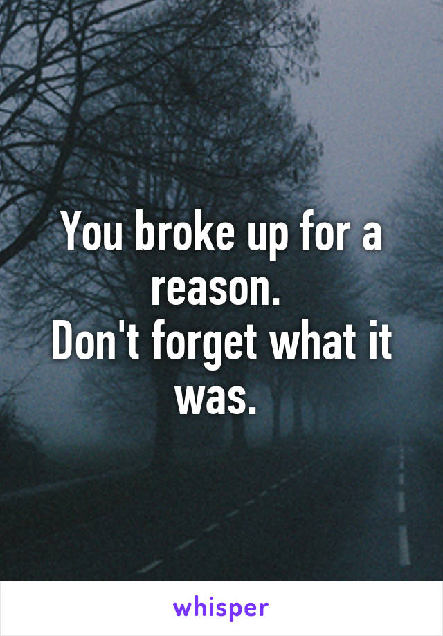 You broke up for a reason. 
Don't forget what it was. 